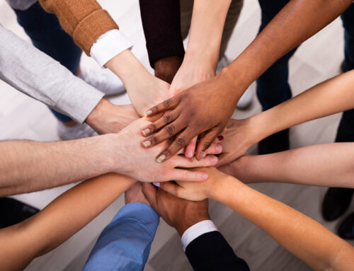 7 Non-Negotiable Drivers That Determine Whether Your Nonprofit Will Thrive or Barely Survive