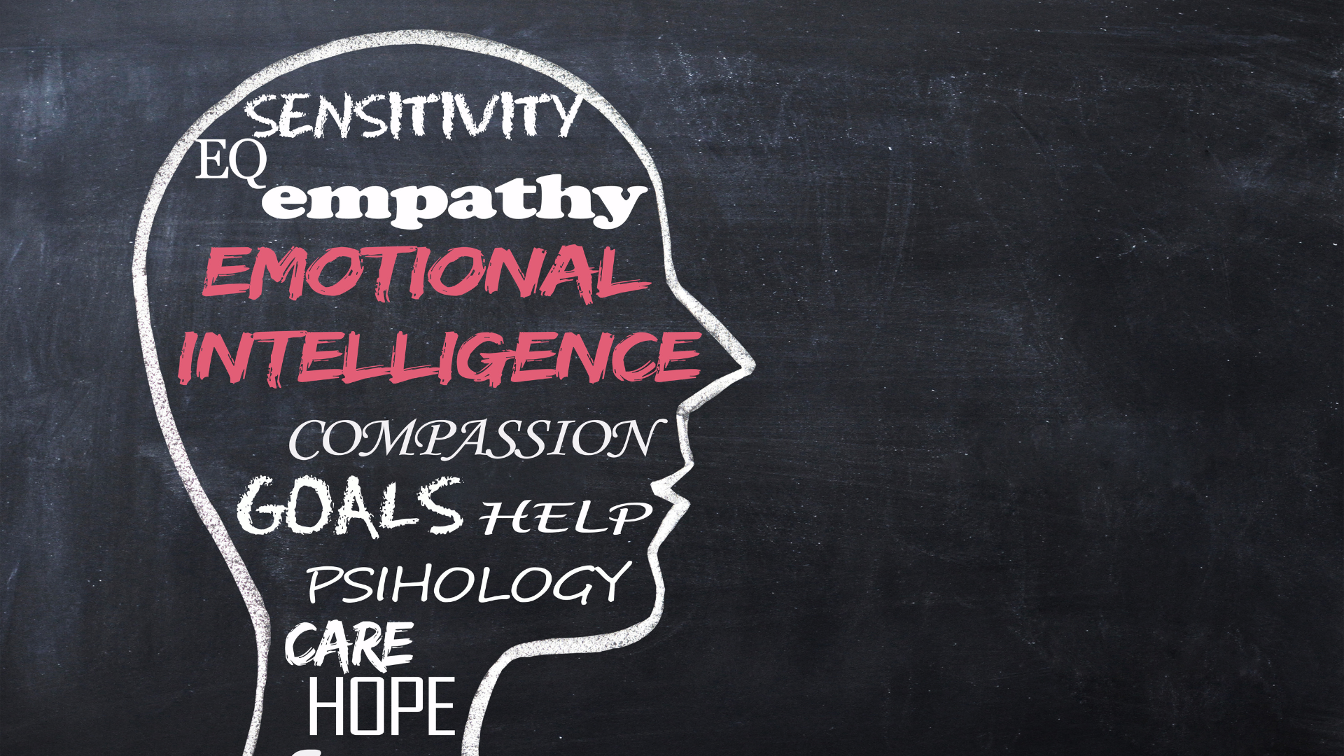 The Role of Emotional Intelligence in Nonprofit Leadership