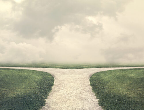 Promote From Within or Hire Externally? Nonprofit Guide